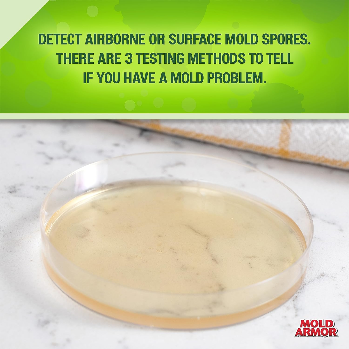 Mold Test Kit