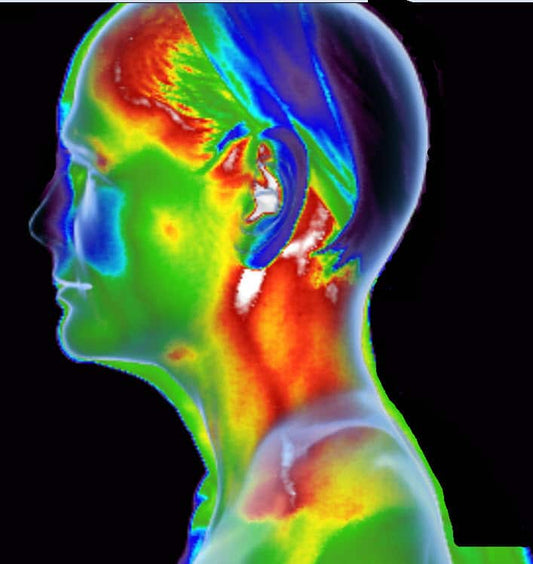 Full Body Thermography