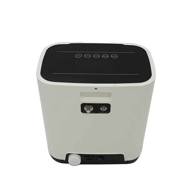 Portable Oxygen Concentrator