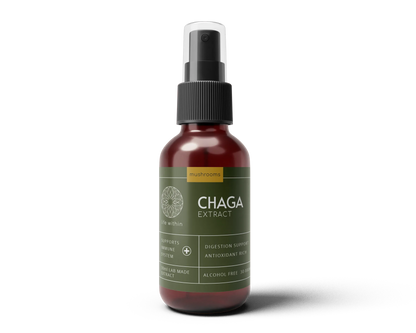 Chaga Extract