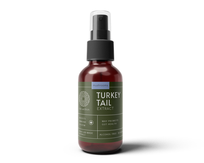 Turkey Tail Extract