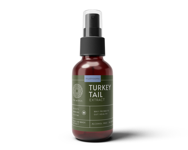 Turkey Tail Extract