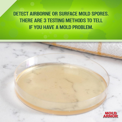 Mold Test Kit