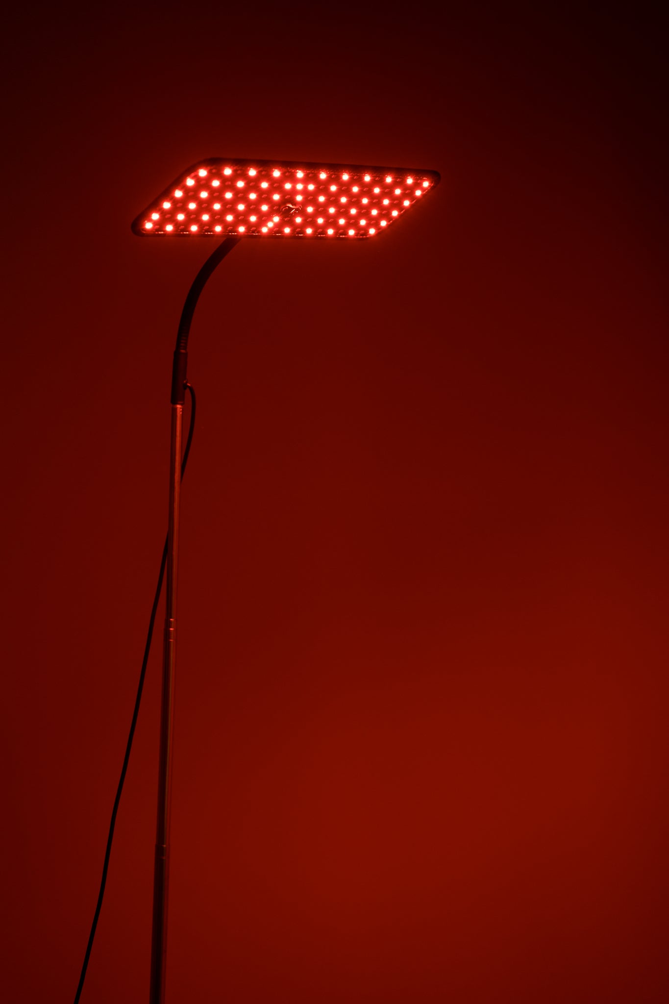 Red Light Therapy Lamp