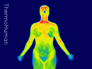 Full body thermography scan